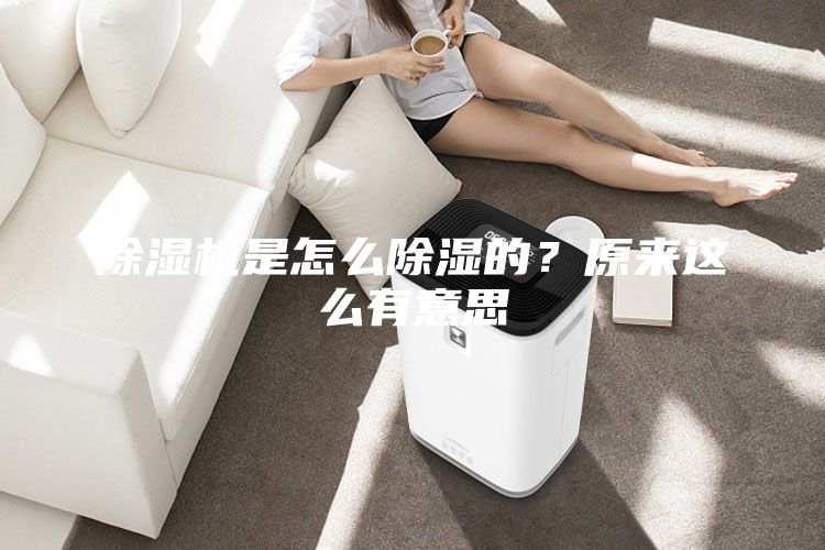 除湿机是怎么除湿的？原来这么有意思