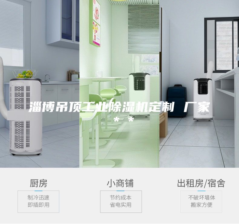 淄博吊顶工业除湿机定制 厂家＊＊