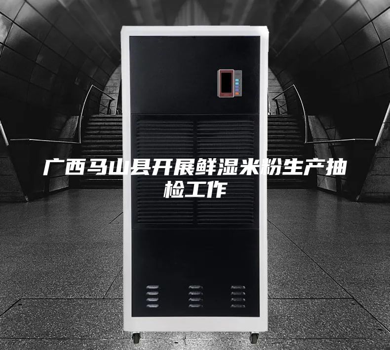 广西马山县开展鲜湿米粉生产抽检工作