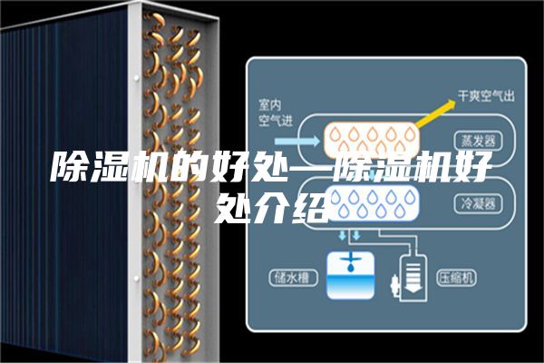 除湿机的好处—除湿机好处介绍