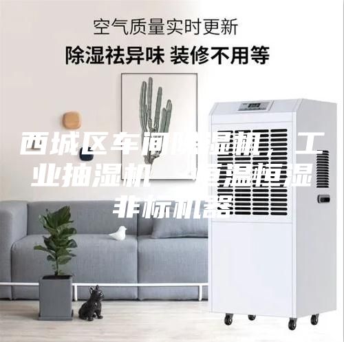 西城区车间除湿机，工业抽湿机  恒温恒湿非标机器