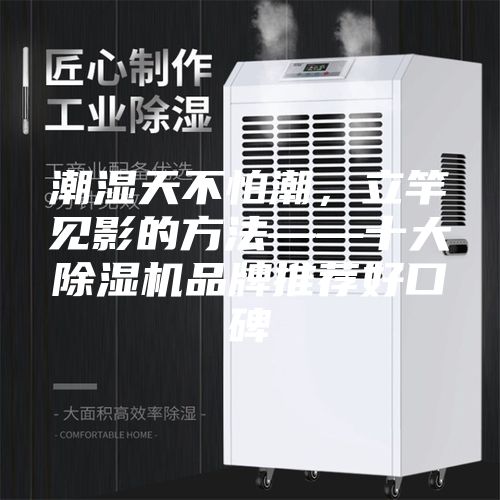潮湿天不怕潮，立竿见影的方法——十大除湿机品牌推荐好口碑