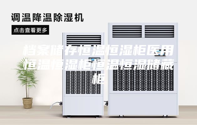 档案储存恒温恒湿柜医用恒温恒湿柜恒温恒湿储藏柜