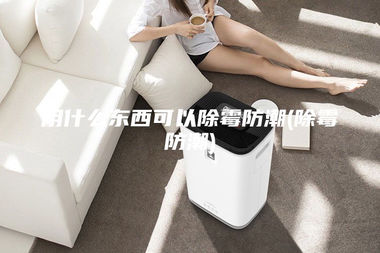 用什么东西可以除霉防潮(除霉防潮)