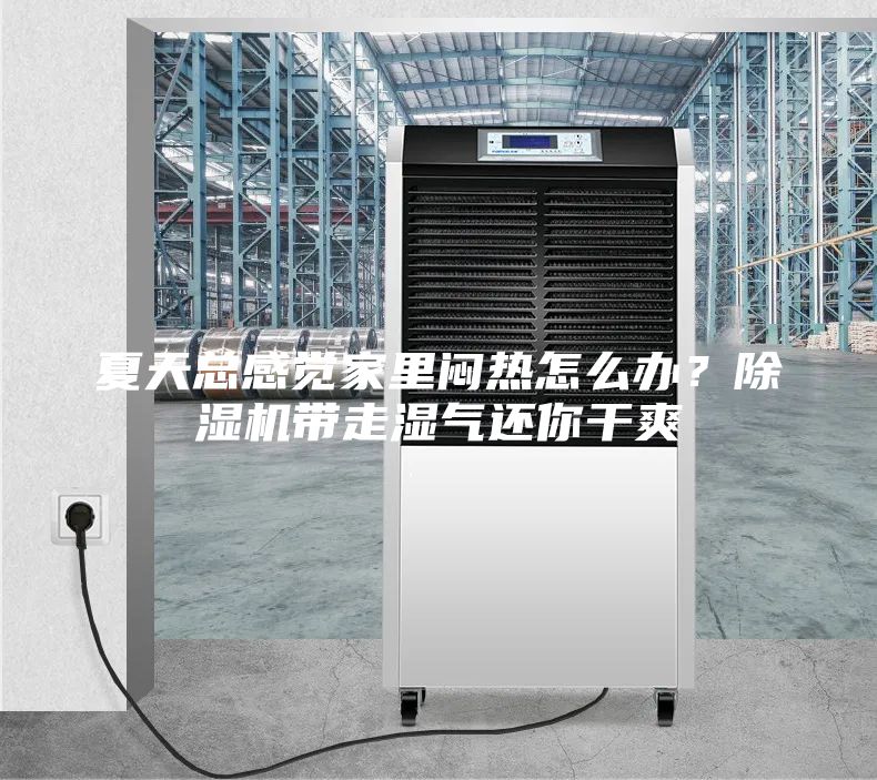 夏天总感觉家里闷热怎么办？除湿机带走湿气还你干爽