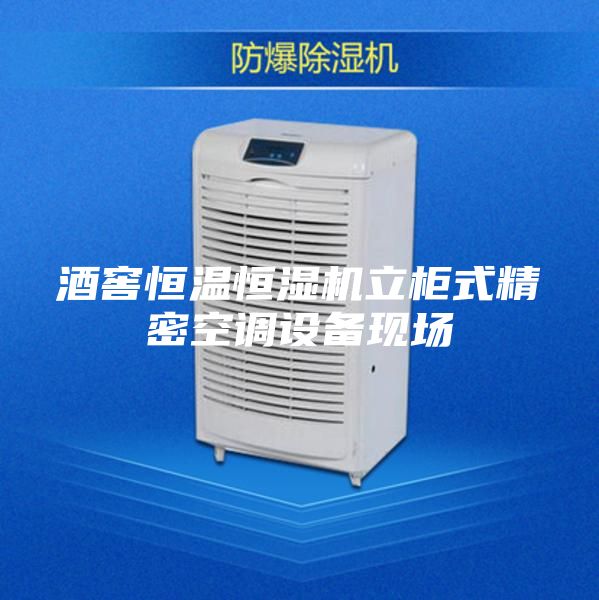 酒窖恒温恒湿机立柜式精密空调设备现场
