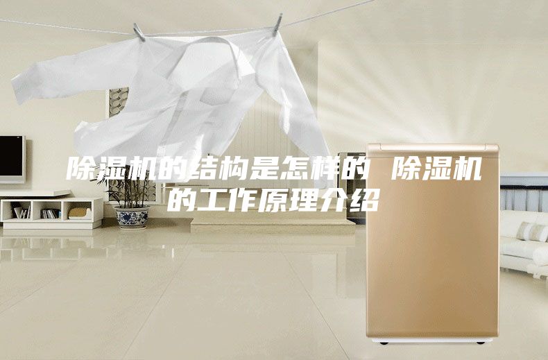 除湿机的结构是怎样的 除湿机的工作原理介绍