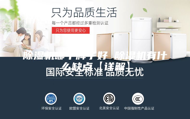 除湿机哪个牌子好 除湿机有什么缺点【详解】