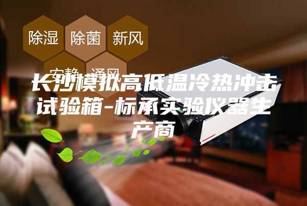 长沙模拟高低温冷热冲击试验箱-标承实验仪器生产商