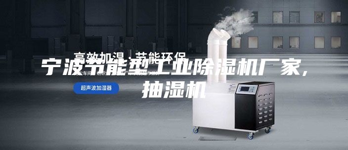 宁波节能型工业除湿机厂家,抽湿机