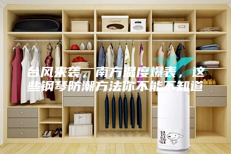 台风来袭,南方湿度爆表,这些钢琴防潮方法你不能不知道