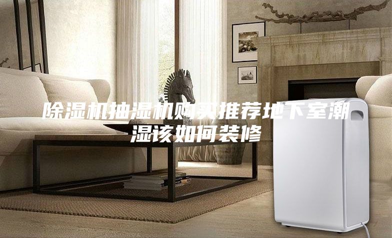 除湿机抽湿机购买推荐地下室潮湿该如何装修