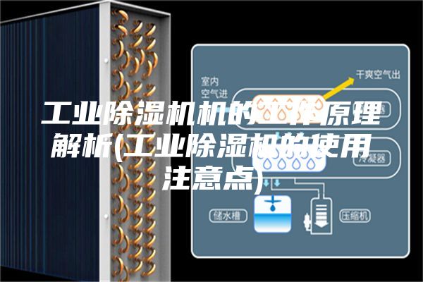 工业除湿机机的工作原理解析(工业除湿机的使用注意点)