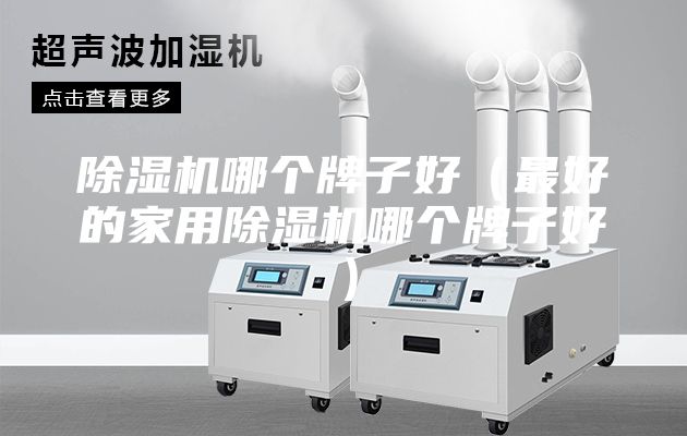 除湿机哪个牌子好(最好的家用除湿机哪个牌子好)