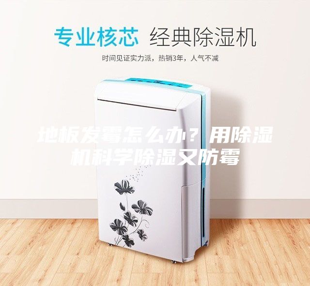 地板发霉怎么办?用除湿机科学除湿又防霉