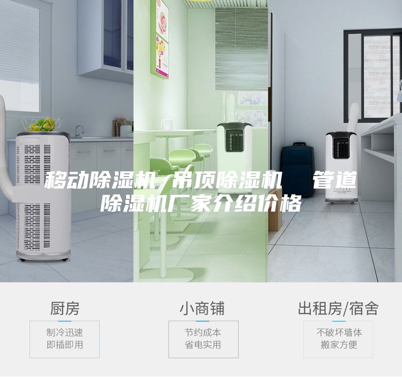移动除湿机 吊顶除湿机  管道除湿机厂家介绍价格