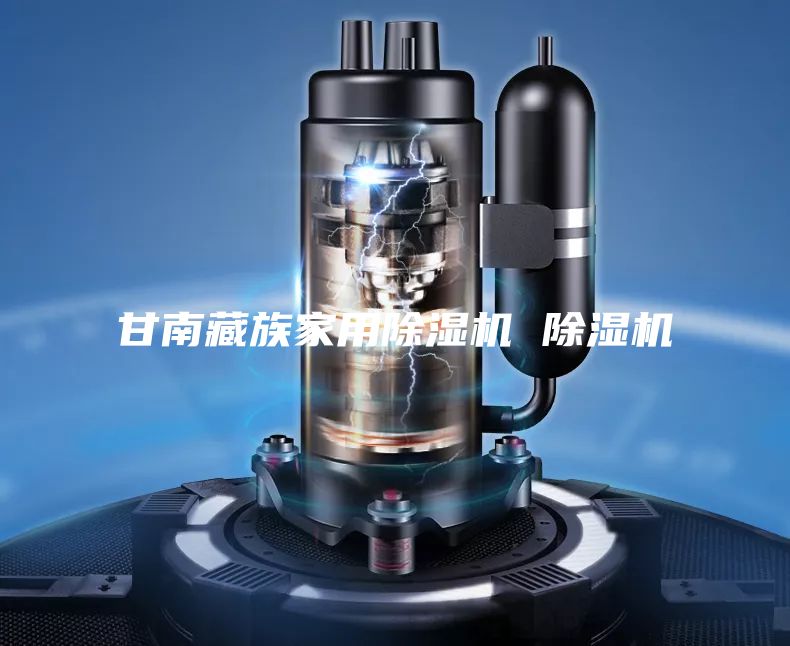 甘南藏族家用除湿机 除湿机