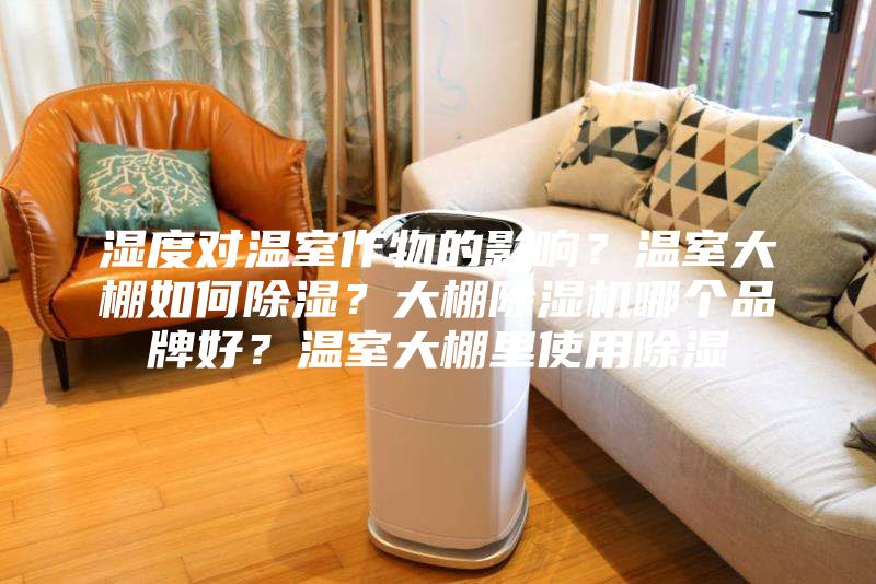 湿度对温室作物的影响？温室大棚如何除湿？大棚除湿机哪个品牌好？温室大棚里使用除湿