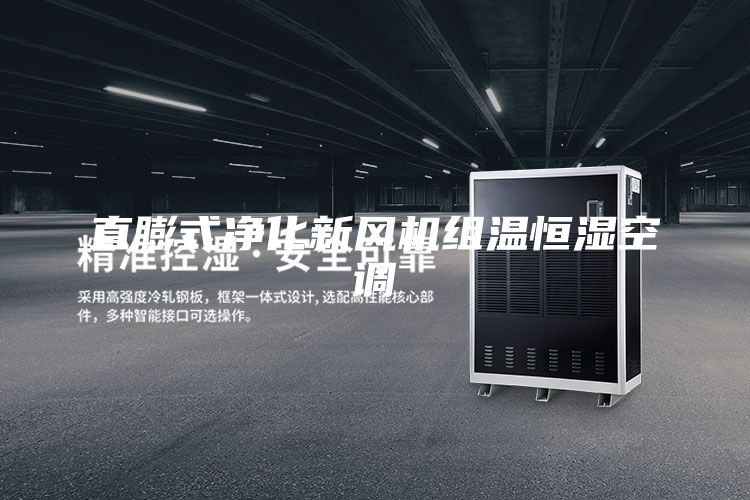 直膨式净化新风机组温恒湿空调