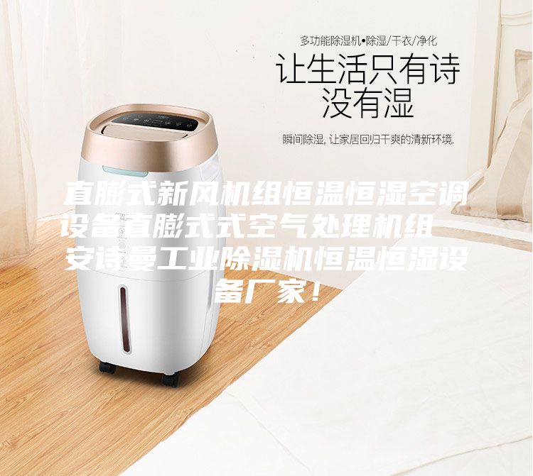 直膨式新风机组恒温恒湿空调设备直膨式式空气处理机组 安诗曼工业除湿机恒温恒湿设备厂家!