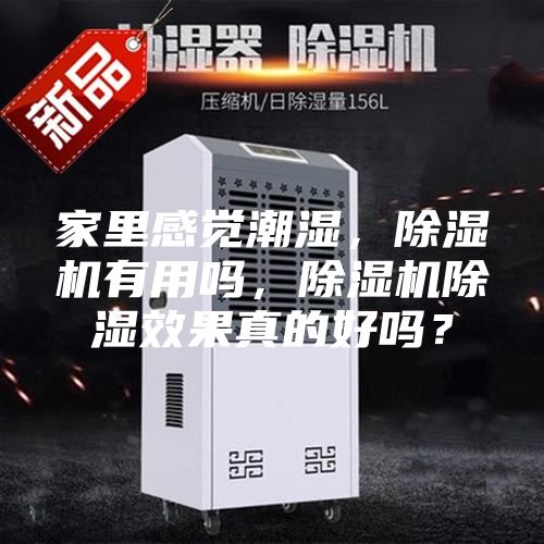 家里感觉潮湿，除湿机有用吗，除湿机除湿效果真的好吗？
