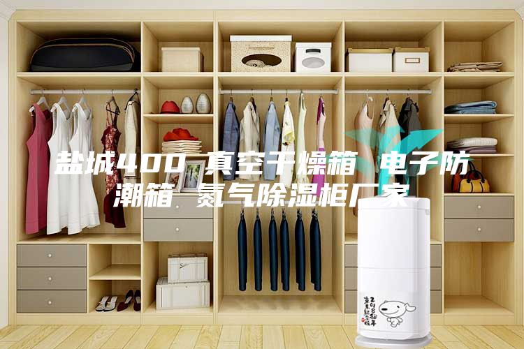 盐城400℃真空干燥箱 电子防潮箱 氮气除湿柜厂家