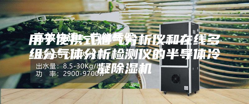 用于便携式烟气分析仪和在线多组分气体分析检测仪的半导体冷凝除湿机