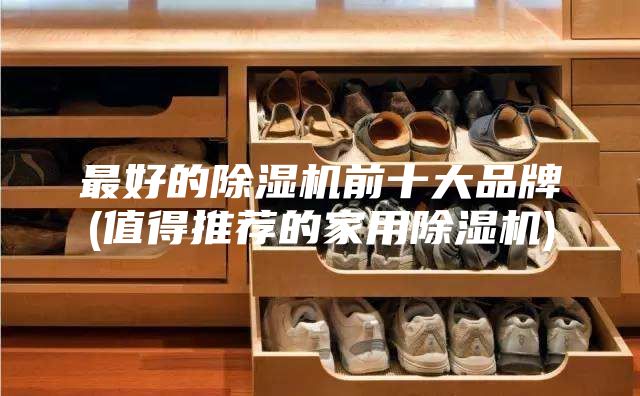 最好的除湿机前十大品牌(值得推荐的家用除湿机)