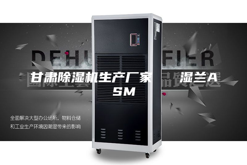 甘肃除湿机生产厂家 湿兰ASM
