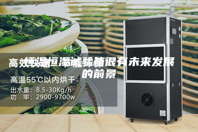 恒温恒湿试验箱很有未来发展的前景