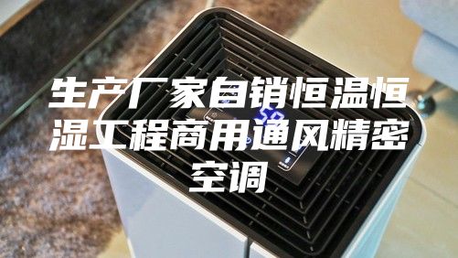 生产厂家自销恒温恒湿工程商用通风精密空调