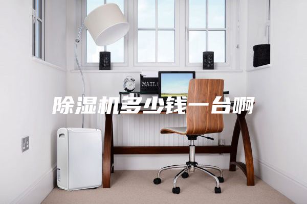 除湿机多少钱一台啊