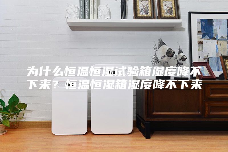 为什么恒温恒湿试验箱湿度降不下来?恒温恒湿箱湿度降不下来
