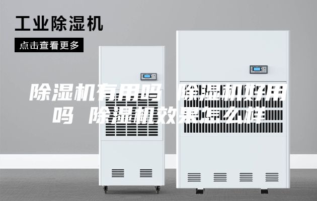 除湿机有用吗 除湿机好用吗 除湿机效果怎么样