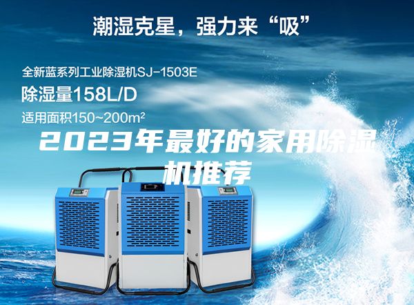 2023年最好的家用除湿机推荐