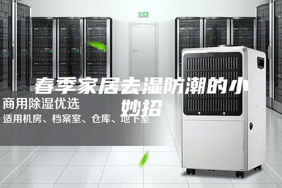 春季家居去湿防潮的小妙招