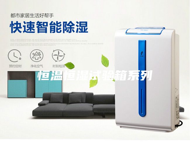 恒温恒湿试验箱系列