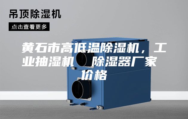 黄石市高低温除湿机,工业抽湿机 除湿器厂家 价格