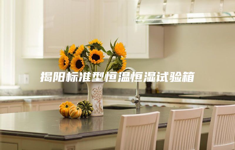 揭阳标准型恒温恒湿试验箱
