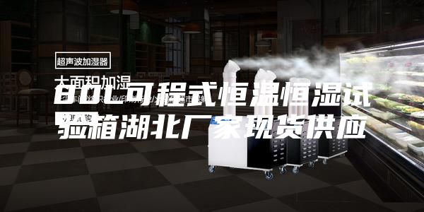 80L可程式恒温恒湿试验箱湖北厂家现货供应