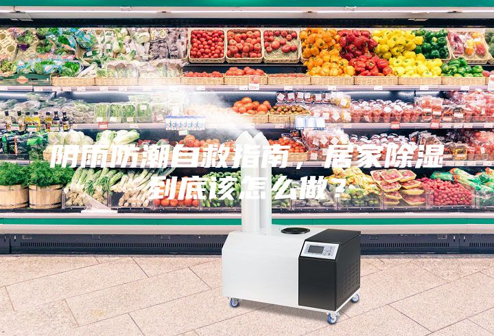 阴雨防潮自救指南，居家除湿到底该怎么做？