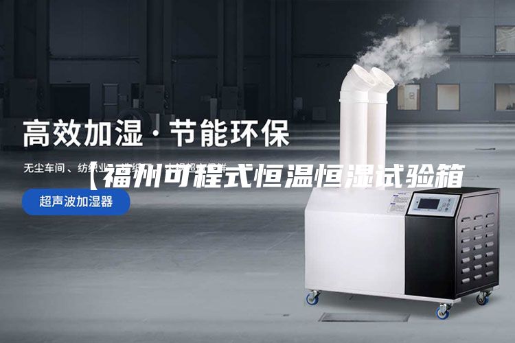 【福州可程式恒温恒湿试验箱