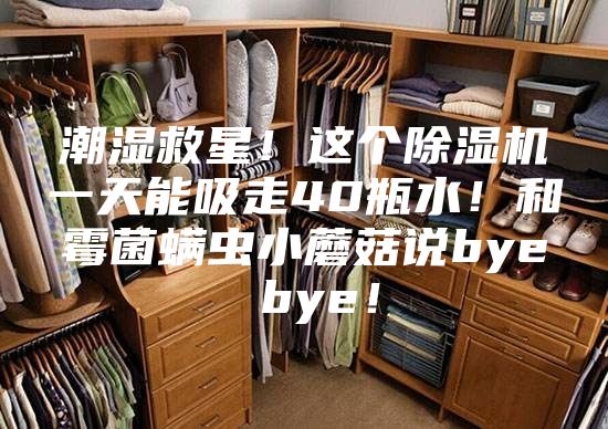 潮湿救星！这个除湿机一天能吸走40瓶水！和霉菌螨虫小蘑菇说bye bye！