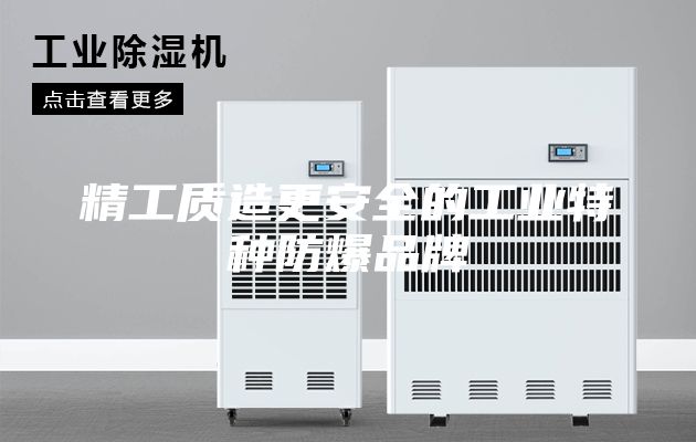 精工质造更安全的工业特种防爆品牌