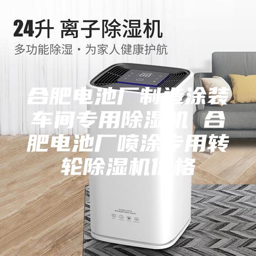 合肥电池厂制造涂装车间专用除湿机 合肥电池厂喷涂专用转轮除湿机价格