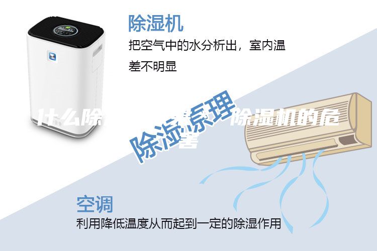 什么除湿机效果＊ 除湿机的危害