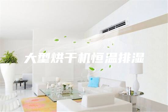 大型烘干机恒温排湿