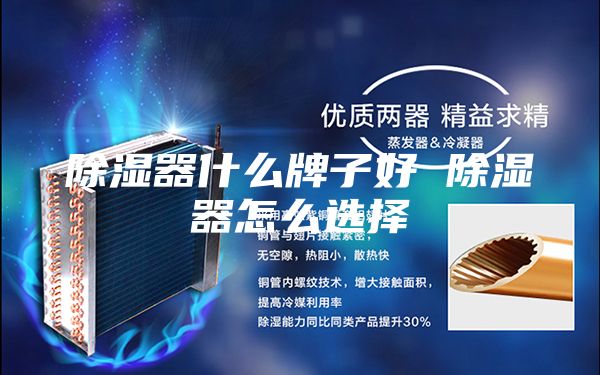 除湿器什么牌子好 除湿器怎么选择