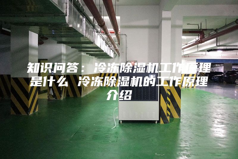 知识问答：冷冻除湿机工作原理是什么 冷冻除湿机的工作原理介绍