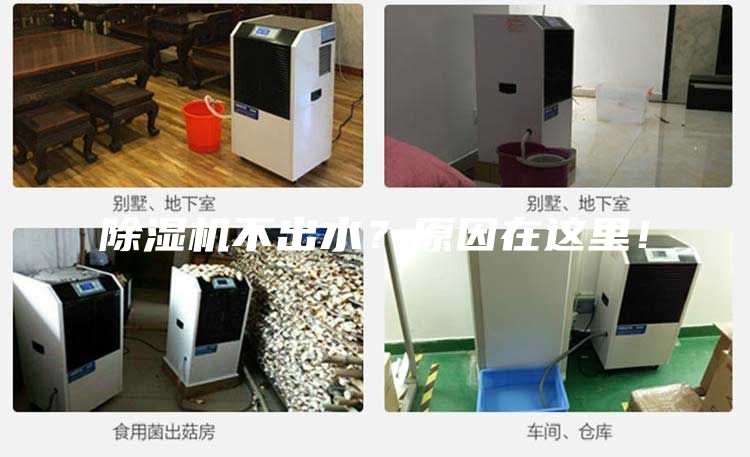 除湿机不出水？原因在这里！